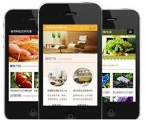 手機(jī)網(wǎng)站怎樣做才更有效果？如何做優(yōu)化？
