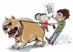 青島10月份一大波勁爆消息，你知道嗎？