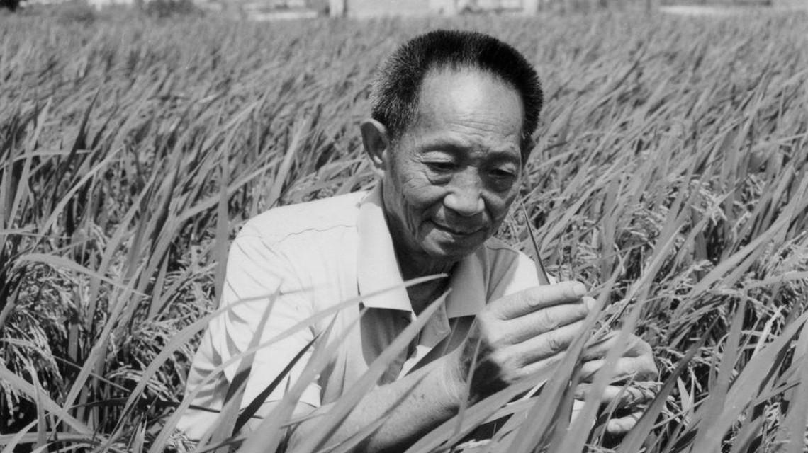 沉痛哀悼！袁隆平院士逝世